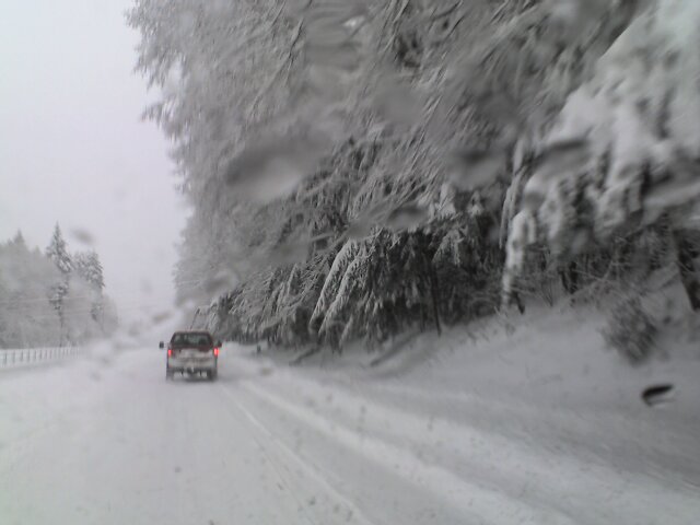 driving back driving back